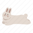 rabbit, sprawl, lying down, bunny, chubby, cute, lovely