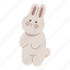 rabbit, standing, bunny, animal, pet, chubby, lovely 