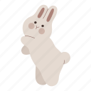 rabbit, standing, bunny, animal, pet, chubby, side view