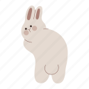 rabbit, standing, bunny, animal, look back, back view