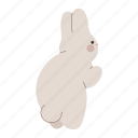 rabbit, standing, bunny, animal, pet, chubby, back view