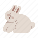 rabbit, yawning, sleepy, bunny, sleep, rest, relaxing