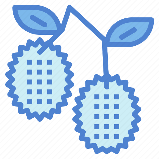 Fruit, lychee, food, fresh icon - Download on Iconfinder