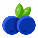 blueberry, fresh, fruit, healthy, sweet, vegan, vitamin