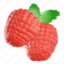 raspberry, fruit, nutrition, food, organic, fresh, natural 