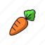 carrot, food, fruit, healthy, eat 