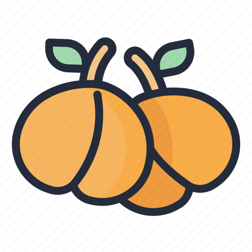 Apricot, fruit, food, juicy, tropical fruit icon - Download on Iconfinder