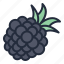 blackberry, fruit, food, juicy, tropical fruit 