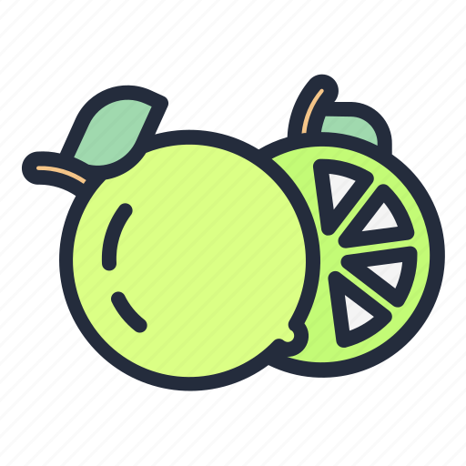 Lime, fruit, food, juicy, tropical fruit icon - Download on Iconfinder