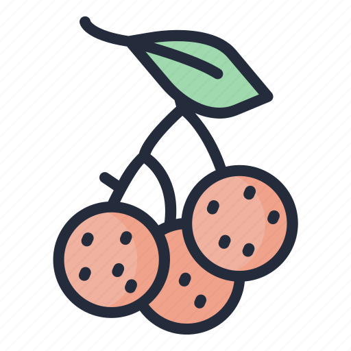 Longan, fruit, food, juicy, tropical fruit icon - Download on Iconfinder