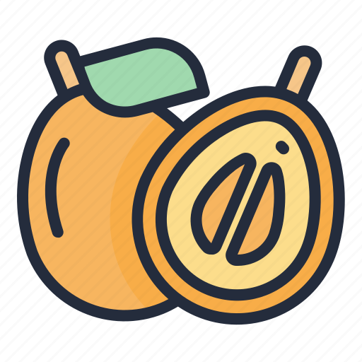 Loquat, fruit, food, juicy, tropical fruit icon - Download on Iconfinder