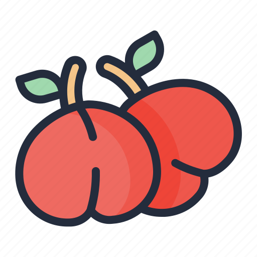 Nectarine, fruit, food, juicy, tropical fruit icon - Download on Iconfinder