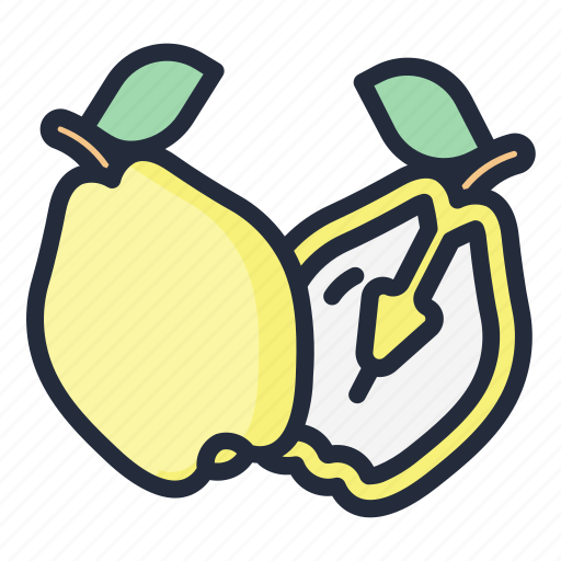Quince, fruit, food, juicy, tropical fruit icon - Download on Iconfinder