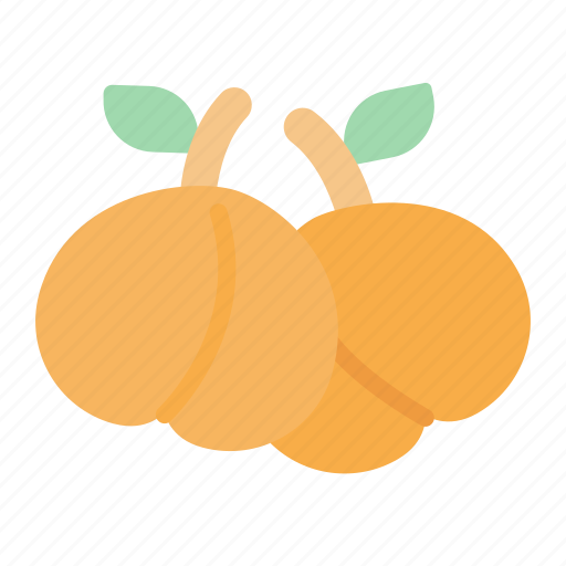 Apricot, fruit, food, juicy, tropical fruit icon - Download on Iconfinder