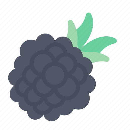 Blackberry, fruit, food, juicy, tropical fruit icon - Download on Iconfinder