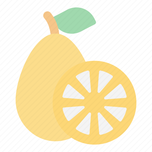Kumquat, fruit, food, juicy, tropical fruit icon - Download on Iconfinder