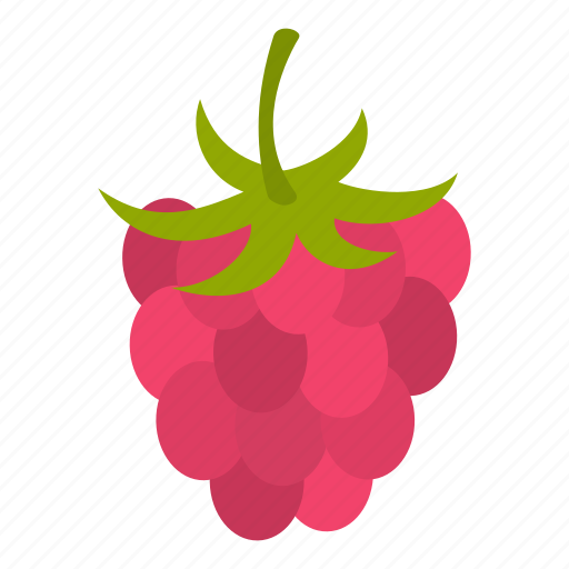 Food, fresh, fruit, ingredient, juicy, raspberry, ripe icon - Download on Iconfinder