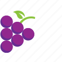 grapes, purple, fruit
