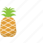 pineapple, fruit 
