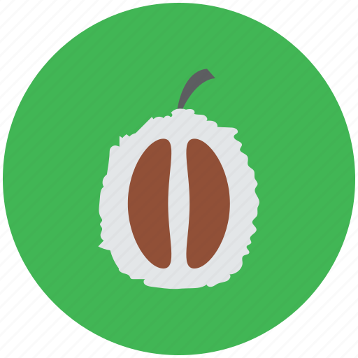 Food, fruit, half litchi, healthy food, leechee, lichee, lichii icon - Download on Iconfinder