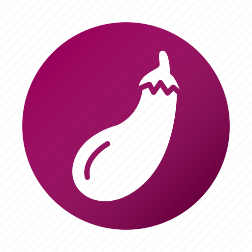 Aubergine, brinjal, diet, eggplant, tasty, vegetable icon - Download on Iconfinder