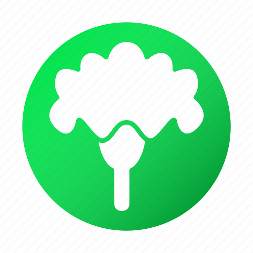 Cauliflower, cooking, food, tasty, vegetable icon - Download on Iconfinder