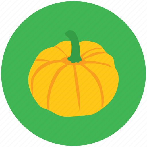Diet, food, nutrition, pumpkin, squash plant, vegetable icon - Download on Iconfinder