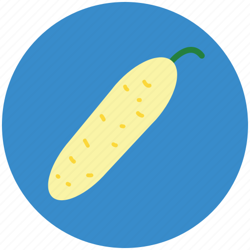 Bitter gourd, bitter melon, diet, food, nutrition, vegetable icon - Download on Iconfinder