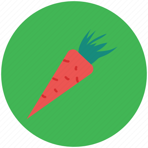 Carrot, diet, healthy diet, nutrition, root vegetable, vegetable icon - Download on Iconfinder