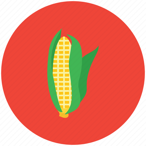 Corn, corncob, food, maize, pole corn, sugar corn, sweet corn icon - Download on Iconfinder