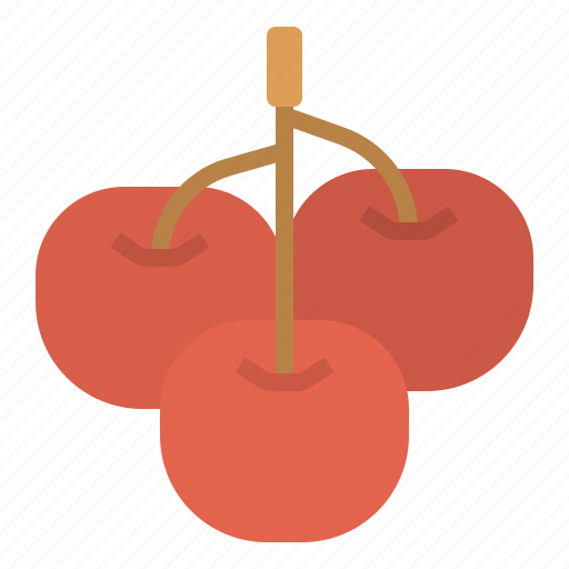 Cherry, diet, fruit, oragnic, vegetable icon - Download on Iconfinder