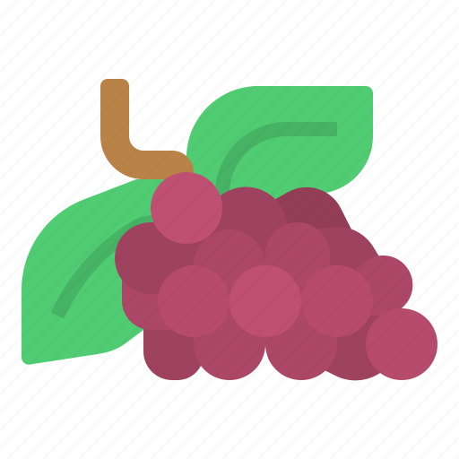 Diet, fruit, grape, oragnic, vegetable icon - Download on Iconfinder
