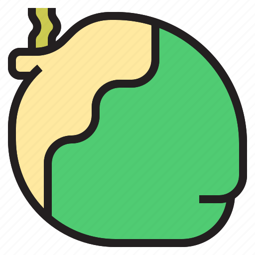 Coconut, diet, fruit, oragnic, vegetable icon - Download on Iconfinder