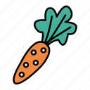 carrot, food, rabbit, vegetable