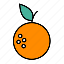 fruit, orange