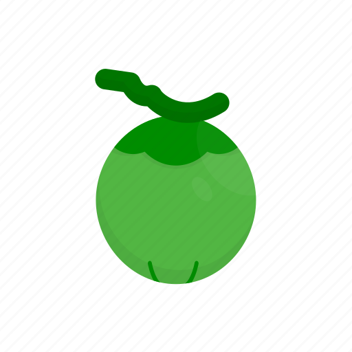 Coconut, fresh, fruit, green, vegetable icon - Download on Iconfinder