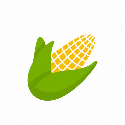 Corn, fresh, fruit, plant, vegetable, vegetarian icon - Download on Iconfinder