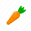 carrot, fresh, fruit, green, plant, vegetable