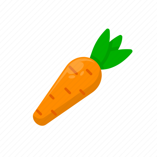 Carrot, fresh, fruit, green, plant, vegetable icon - Download on Iconfinder