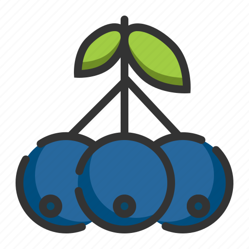 Blue, berry, fruit, healthy, organic, food icon - Download on Iconfinder