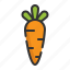 carrot, vegetable, healthy, organic, cooking, food, dessert 