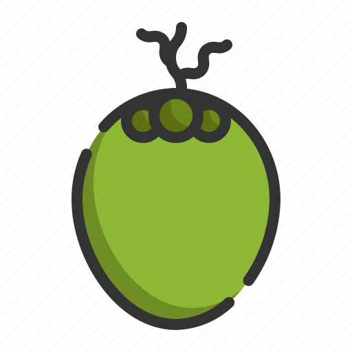 Coconut, fruit, healthy, organic, food icon - Download on Iconfinder
