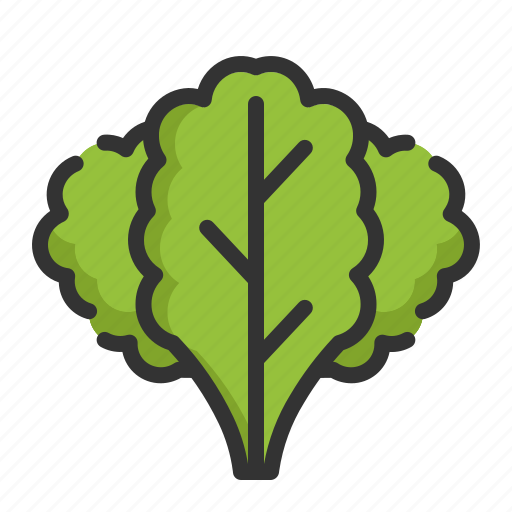 Kale, vegetable, healthy, organic, food icon - Download on Iconfinder