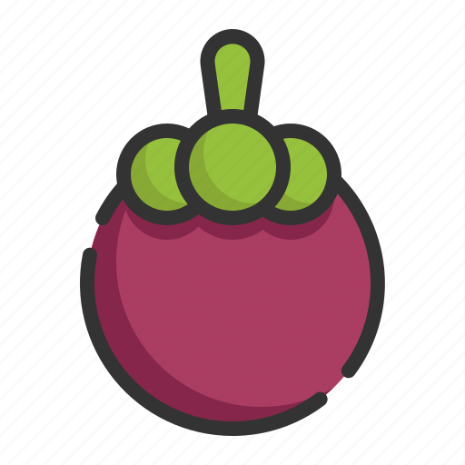 Mangosteen, fruit, healthy, organic, food icon - Download on Iconfinder