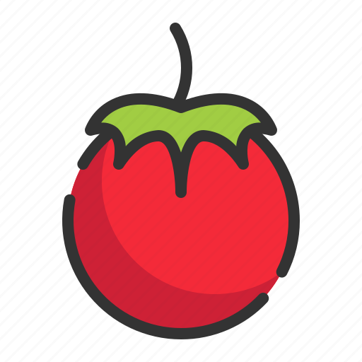 Tomato, vegetable, healthy, organic, food icon - Download on Iconfinder