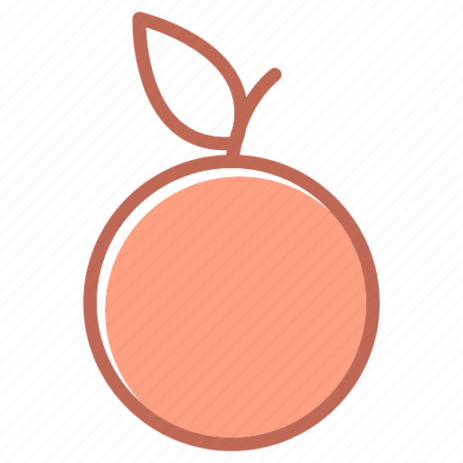 Fruit, orange icon - Download on Iconfinder on Iconfinder