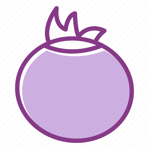 Onion, vegetable icon - Download on Iconfinder on Iconfinder