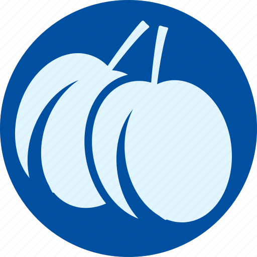 Fruit, fruits, gastronomy, veg, vegetable, apricot, plum icon - Download on Iconfinder
