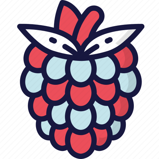 Eating, food, fruit, health, raspberry icon - Download on Iconfinder