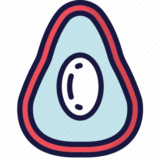 Avacado, eating, food, fruit, health icon - Download on Iconfinder